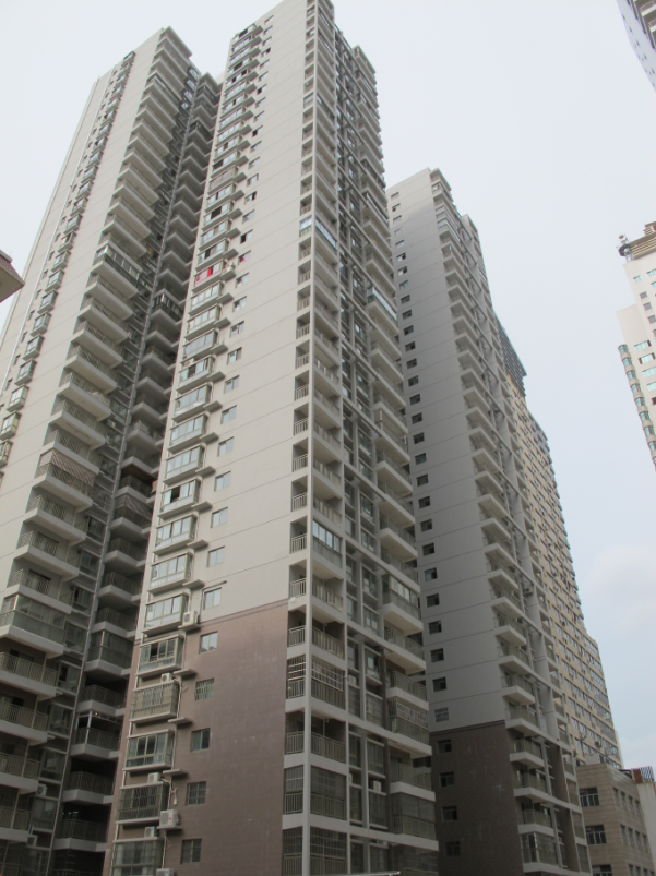 广西发展大厦住宅楼-2