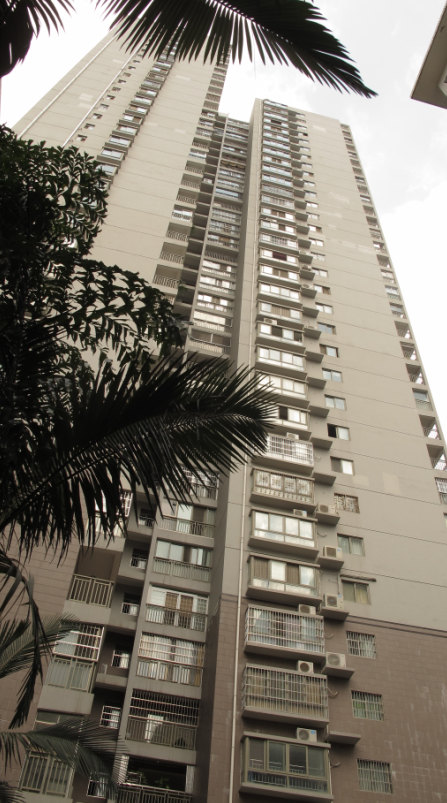 广西发展大厦住宅楼-3